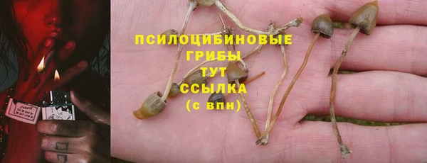 apvp Алексеевка