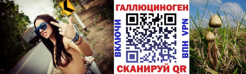 darknet состав  Омутнинск  Псилоцибиновые грибы Cubensis 